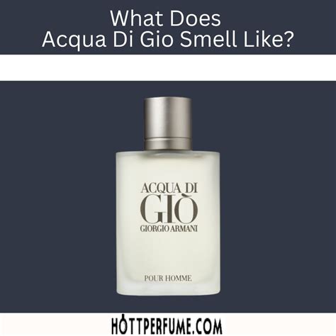 acqua di gio smell like.